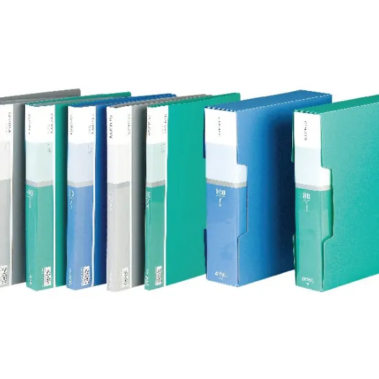 Fascikla Display - Clear Book 10 listova E5001