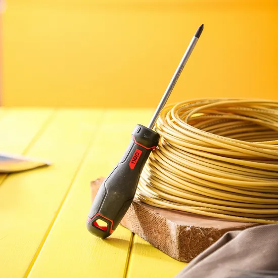 Odvijač DELI Supreme PH1x100mm DL3457